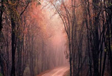 波兰客场战平以色列，小组出线形势严峻