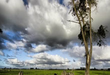 碰撞火花！全球顶尖球队角逐擂台