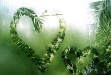 碰撞火花！全球顶尖球队角逐擂台