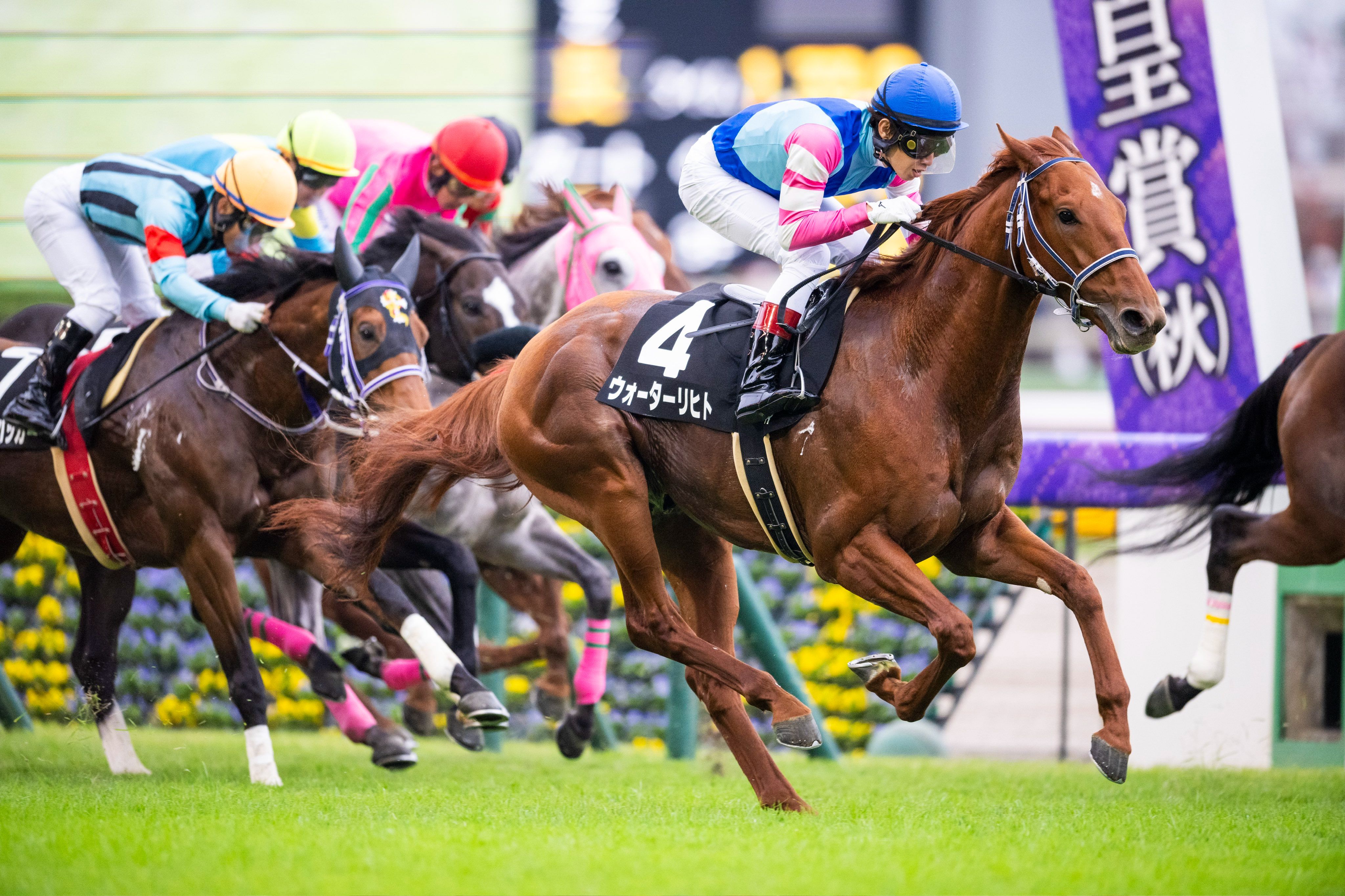 aoa体育教练-马赛队球员信心十足迎接新赛季(马赛队球员信心十足迎接新赛季发言)