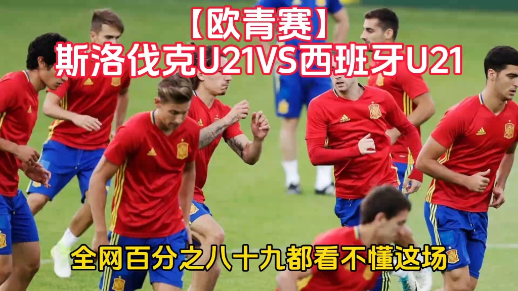 aoa体育馆-关于斯洛伐克队备战欧预赛，誓言突破困境的信息