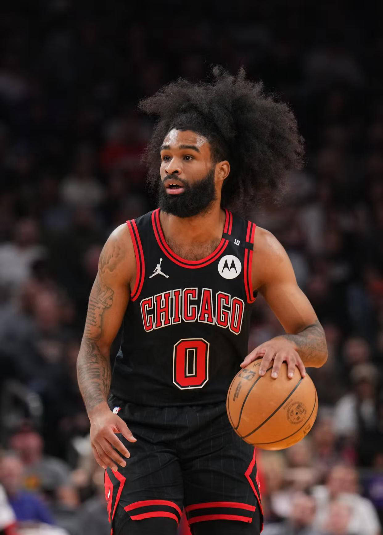 公牛新秀逐渐融入球队，表现不俗的简单介绍