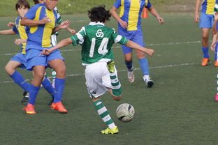 aoa体育新闻-陕西队逆转实力强队，掀起反弹风潮